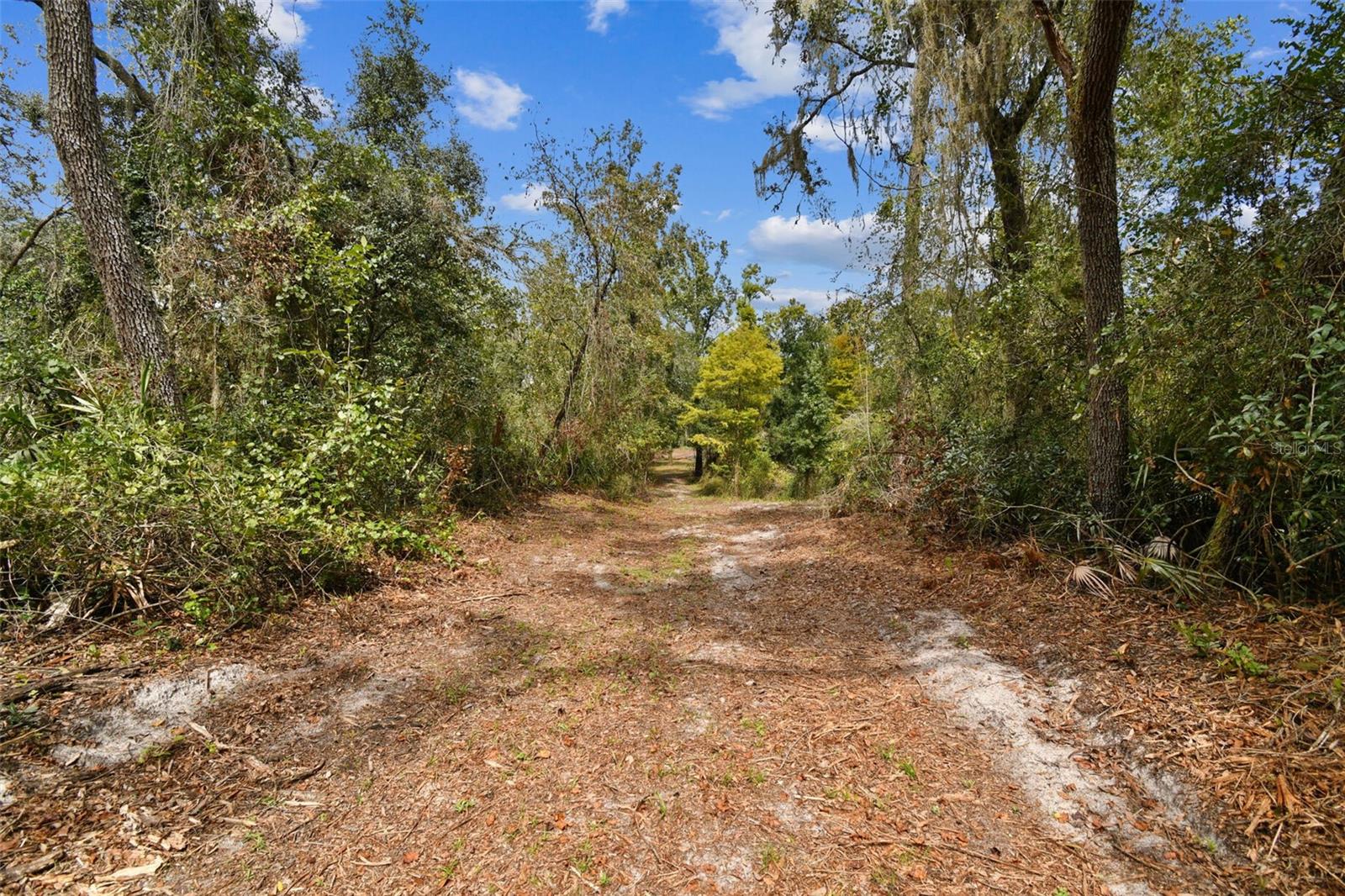 Image 7 of 32 For 5466 And 5476 Cyril Drive