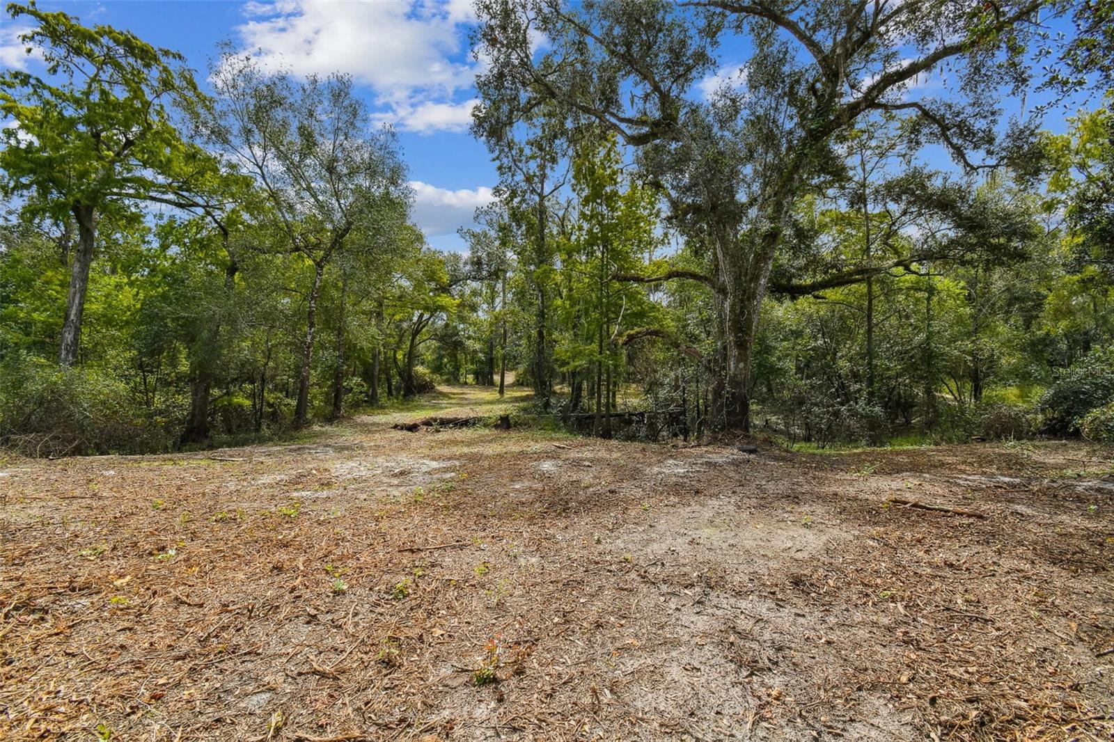 Image 9 of 32 For 5466 And 5476 Cyril Drive