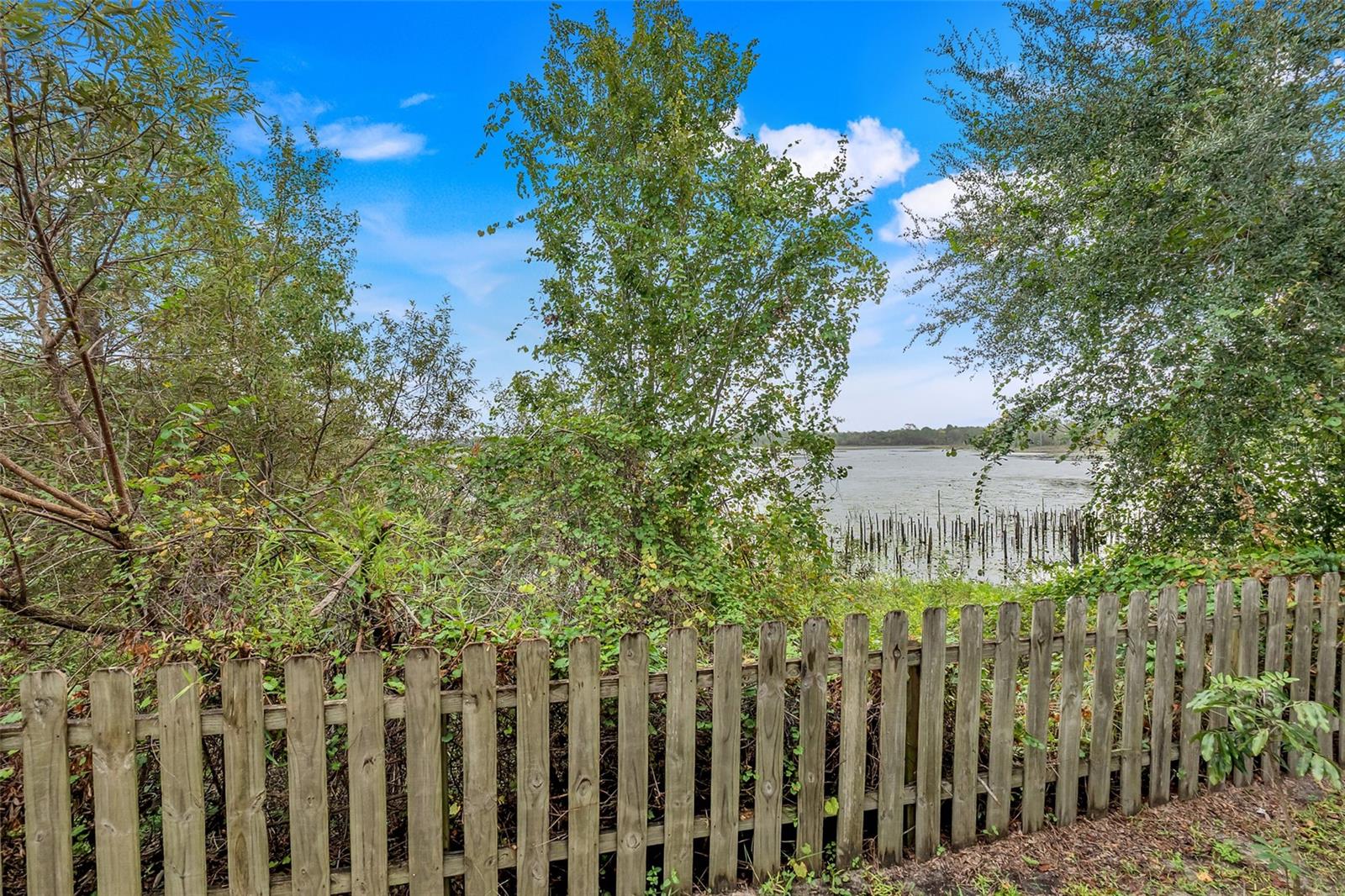 Image 42 of 47 For 226 Haversham Road