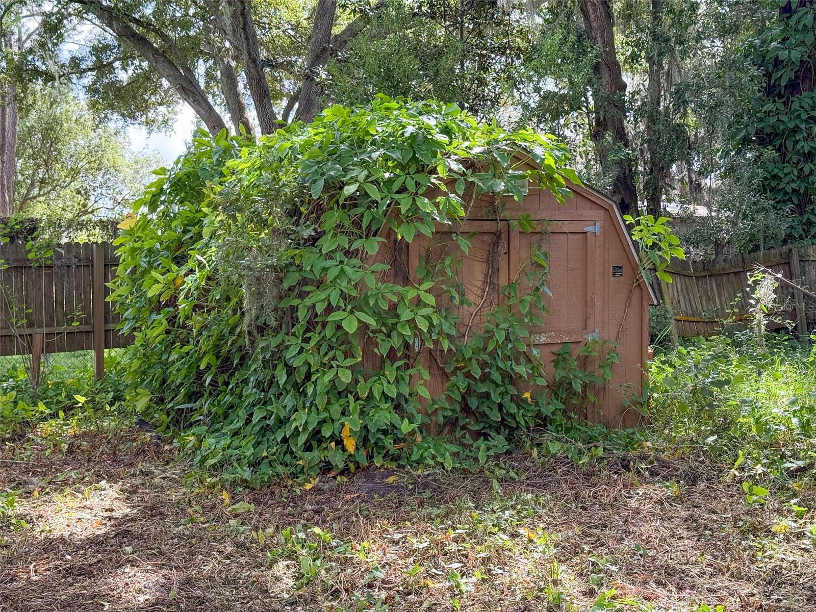 Image 10 of 20 For 3235 Oakwood Drive