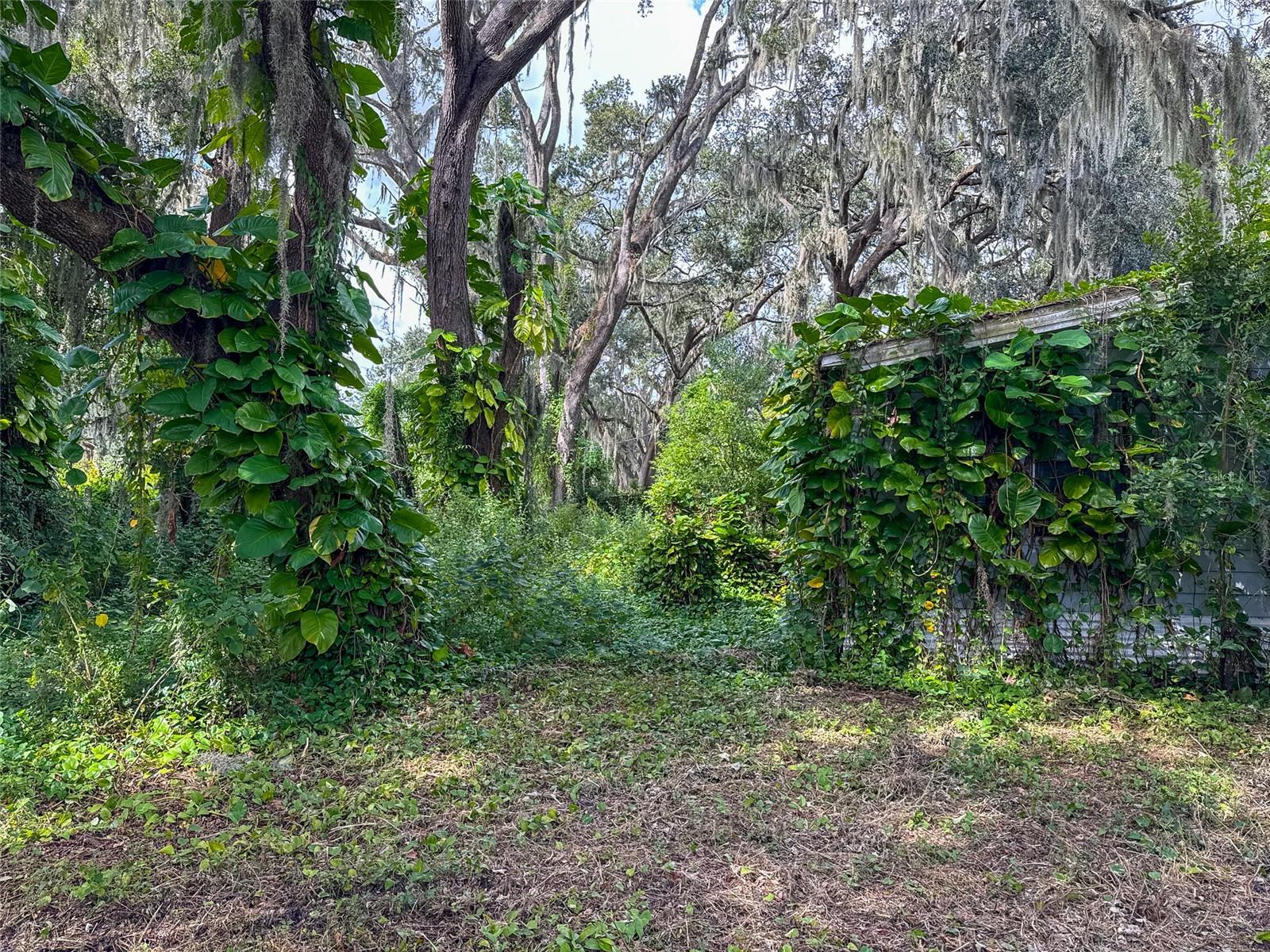 Image 13 of 20 For 3235 Oakwood Drive