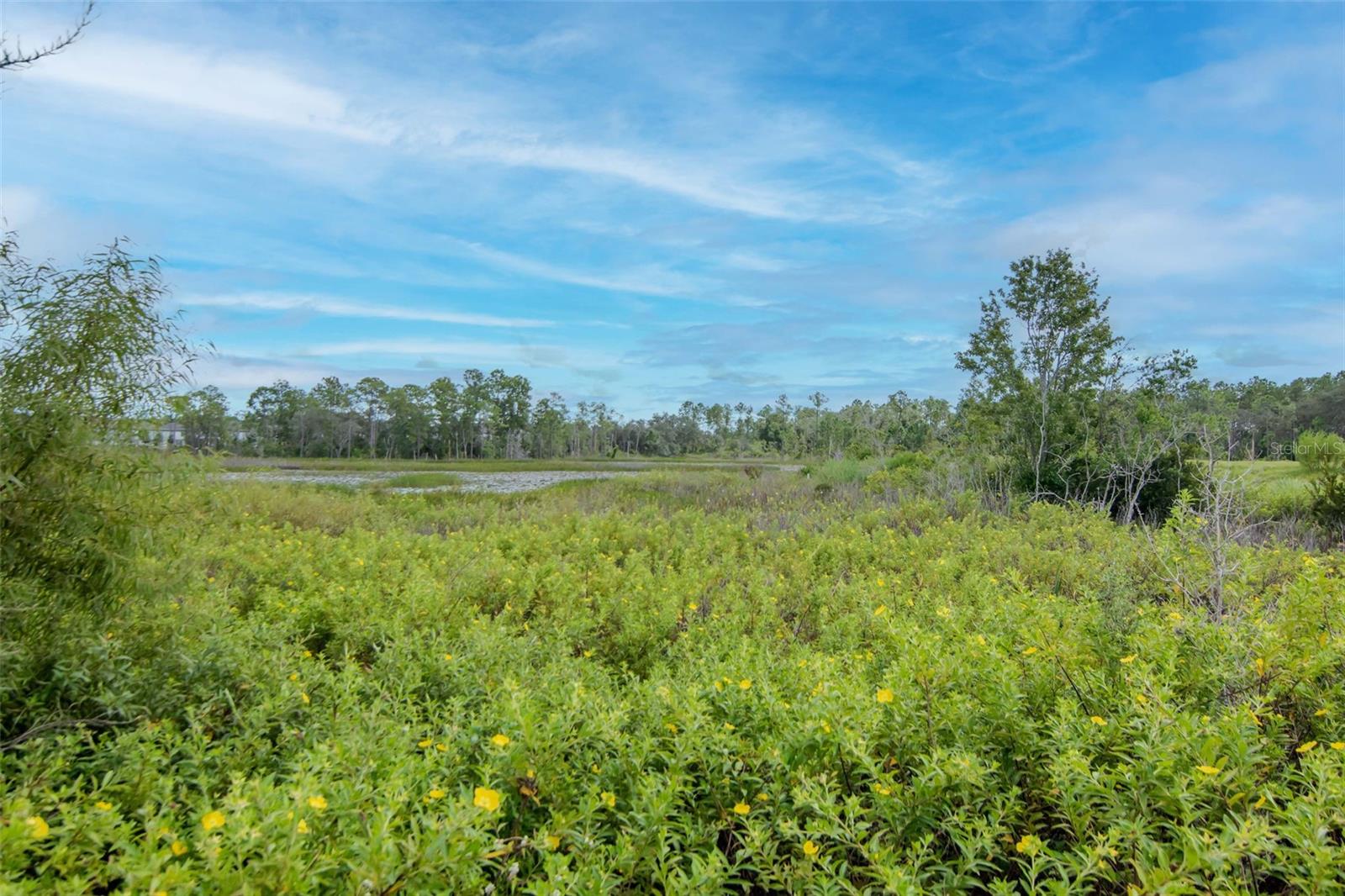 Image 44 of 50 For 2260 Derwent Drive