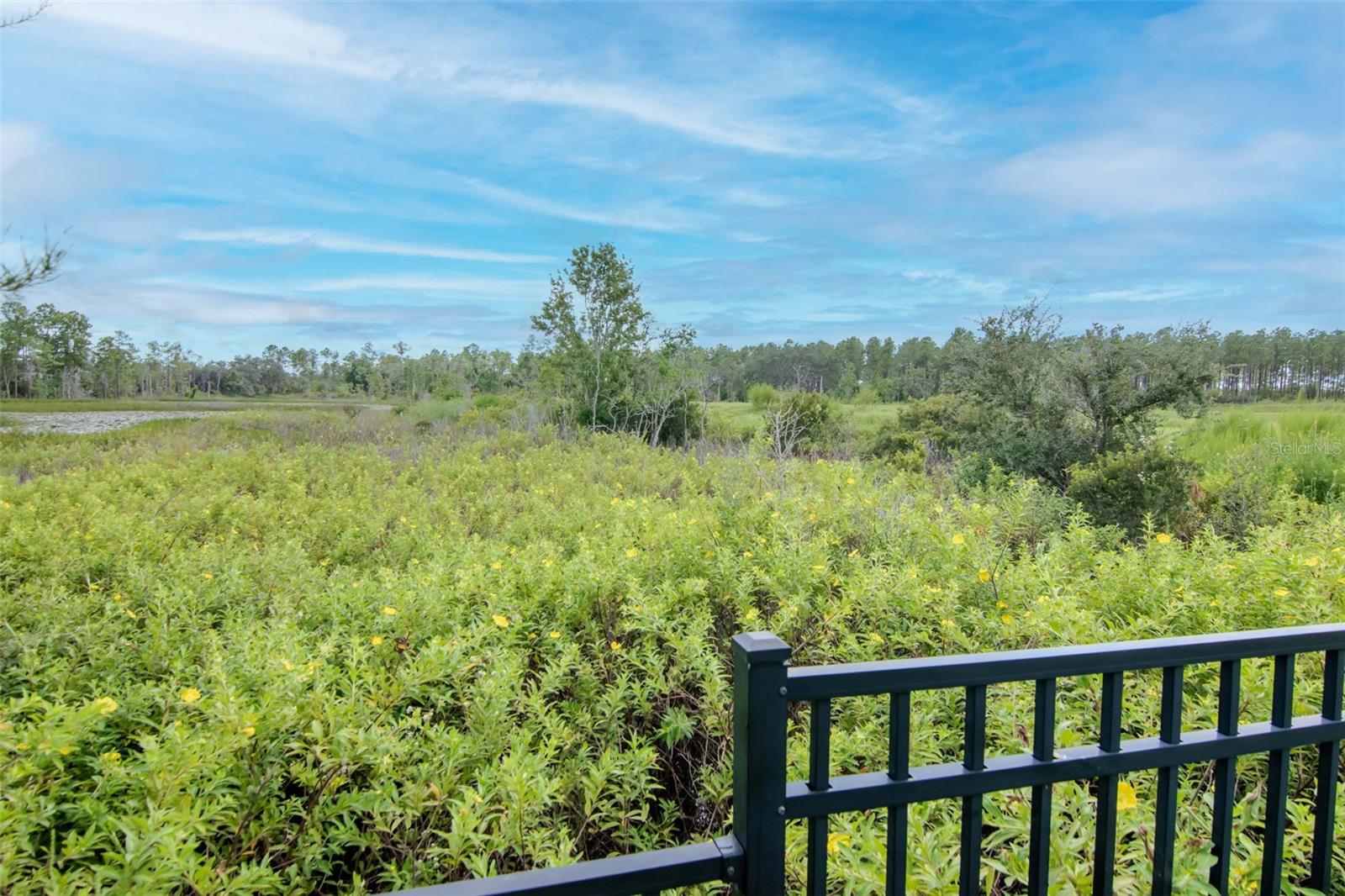 Image 45 of 50 For 2260 Derwent Drive