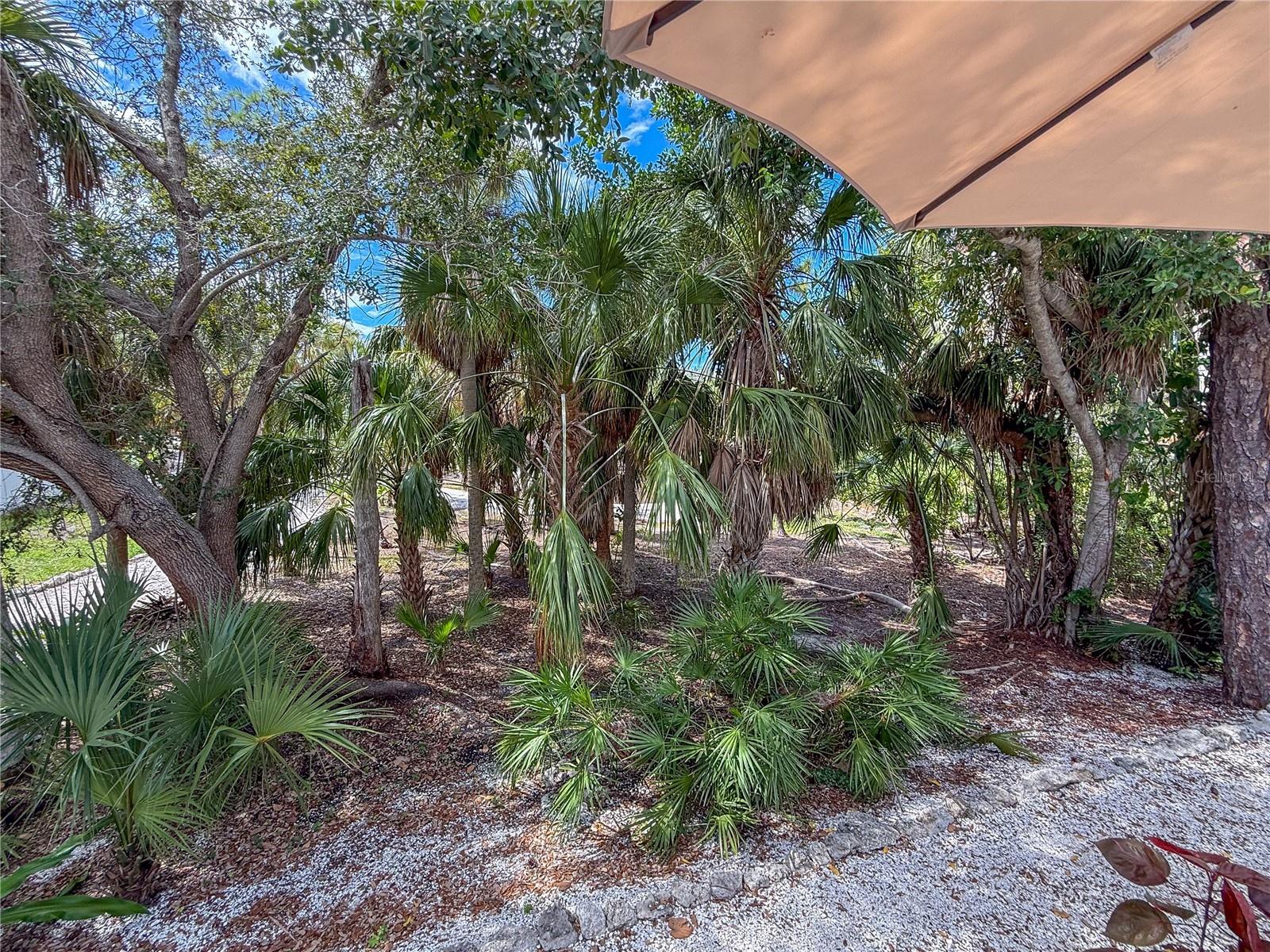 Image 46 of 81 For 806 Bayport Way 806