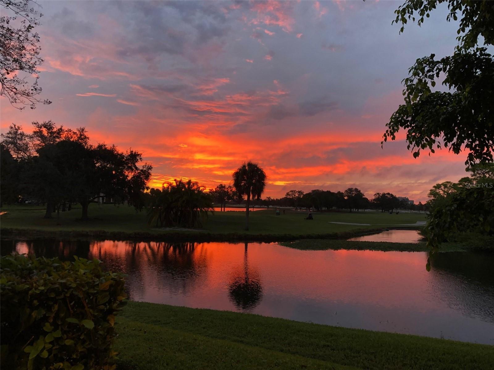 Image 39 of 41 For 2253 Heron Circle