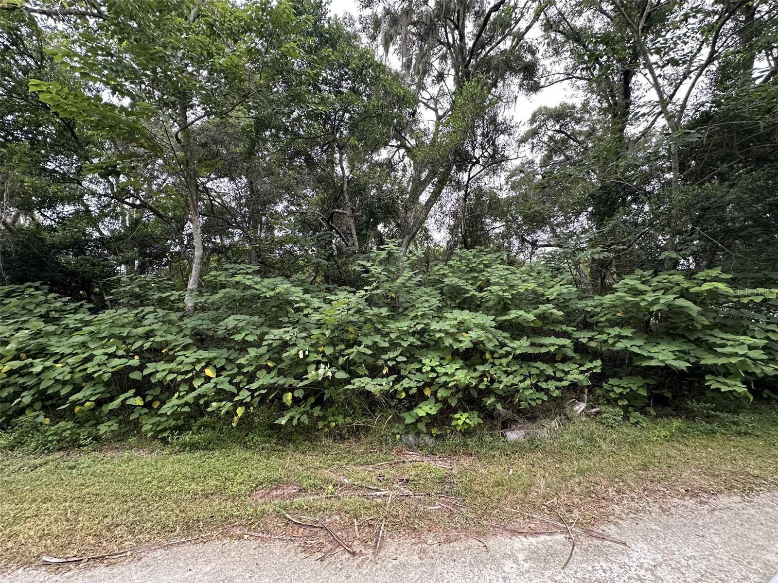 Details for Jenkins Avenue, BROOKSVILLE, FL 34604