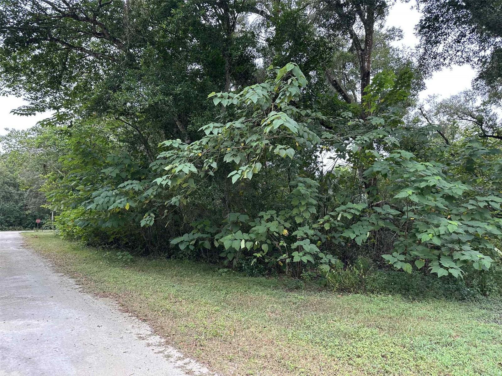 Image 3 of 4 For Jenkins Avenue