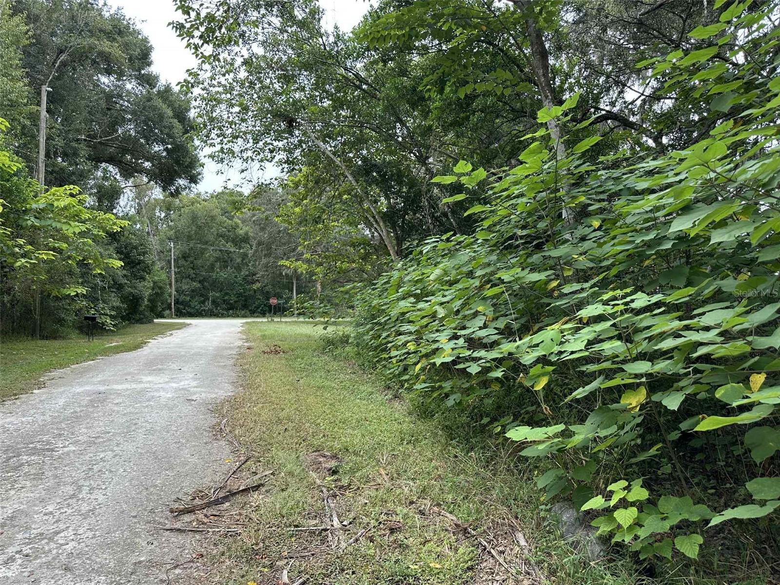 Image 4 of 4 For Jenkins Avenue