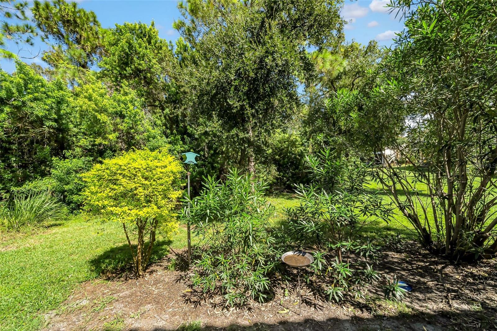 Image 58 of 75 For 244 Valencia Circle