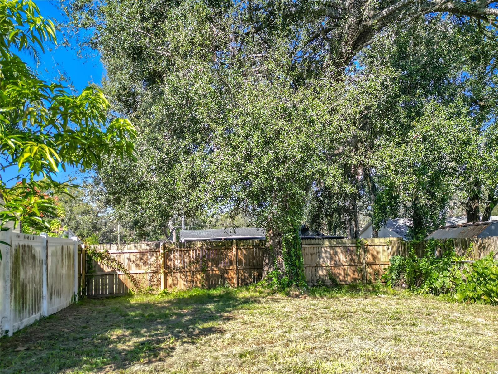 Image 41 of 53 For 8716 Lynn Avenue