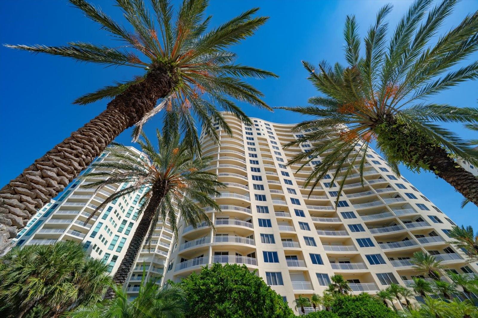 Image 72 of 76 For 1200 Gulf Boulevard 1603