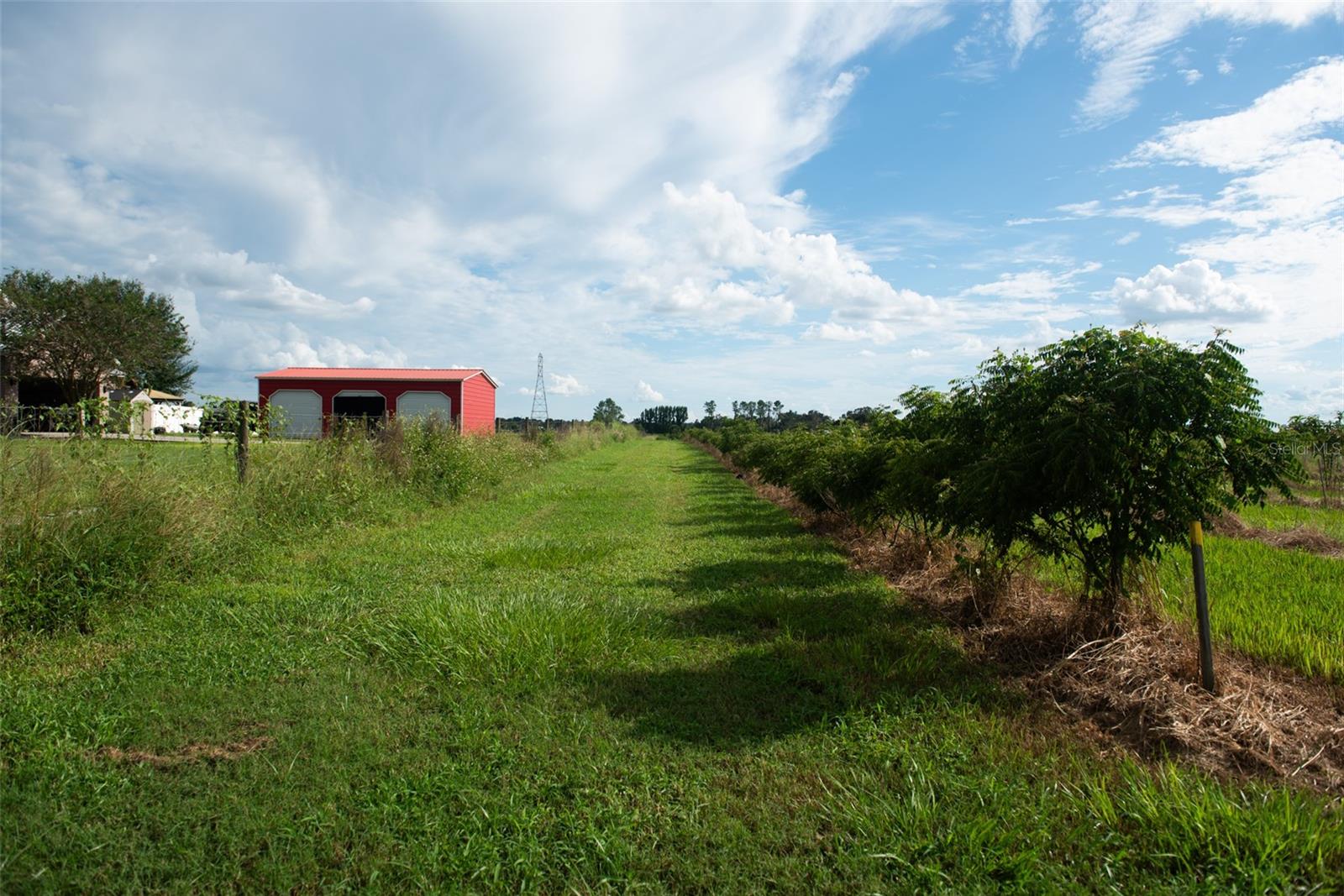 Image 22 of 24 For Blanton Acres Road