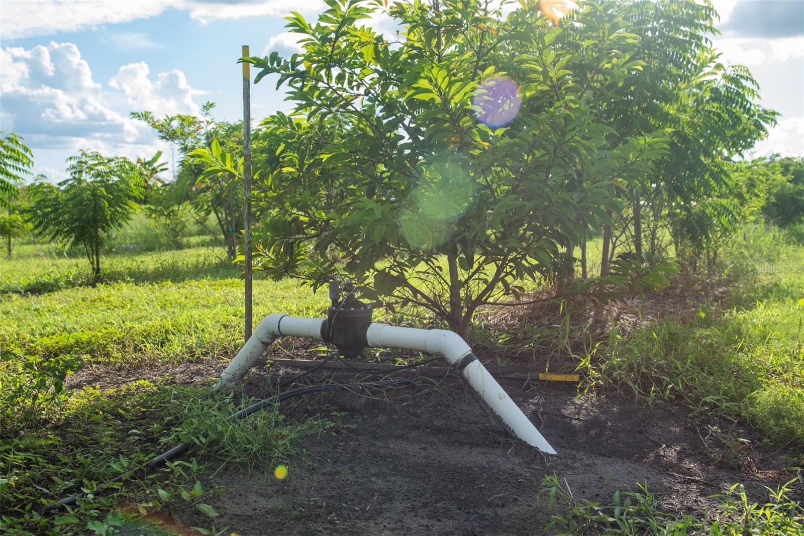 Image 8 of 24 For Blanton Acres Road