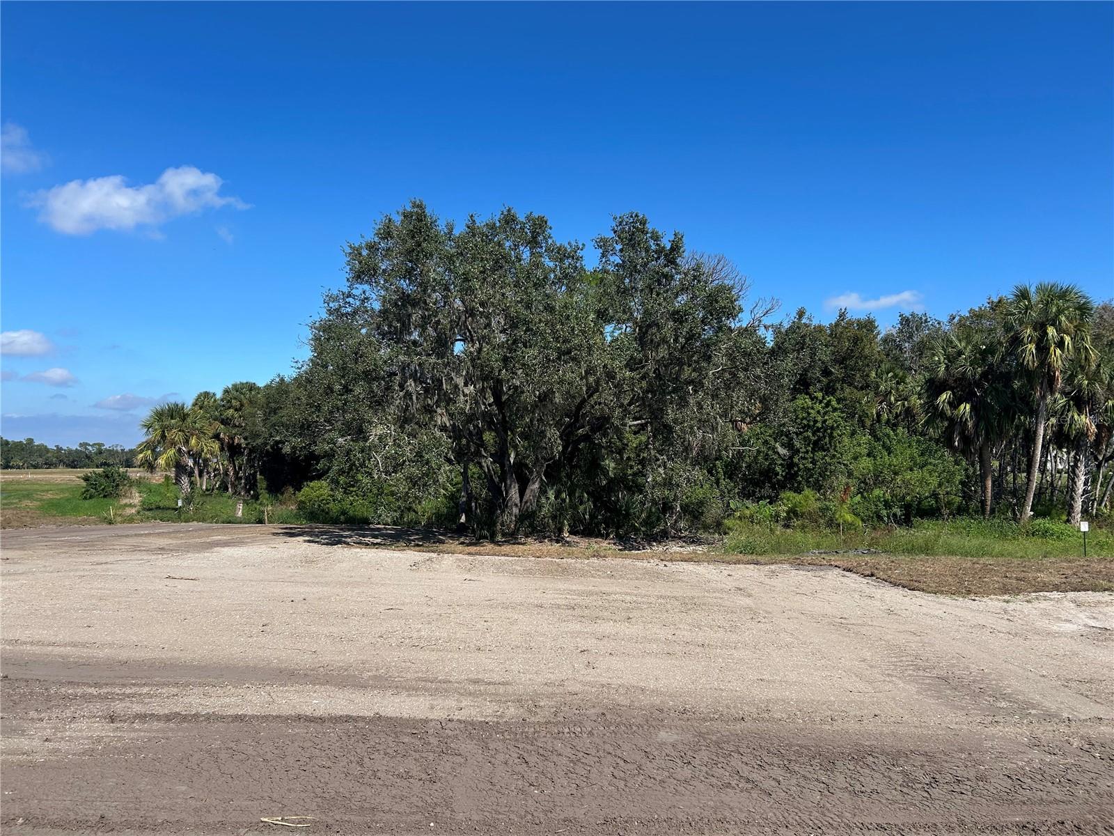 Image 39 of 39 For 10108 Hidden Hammock Loop