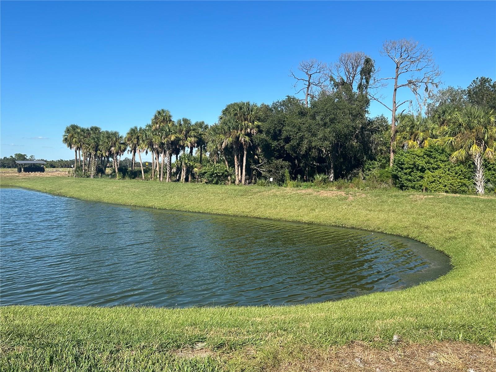 Image 38 of 39 For 10049 Hidden Hammock Loop