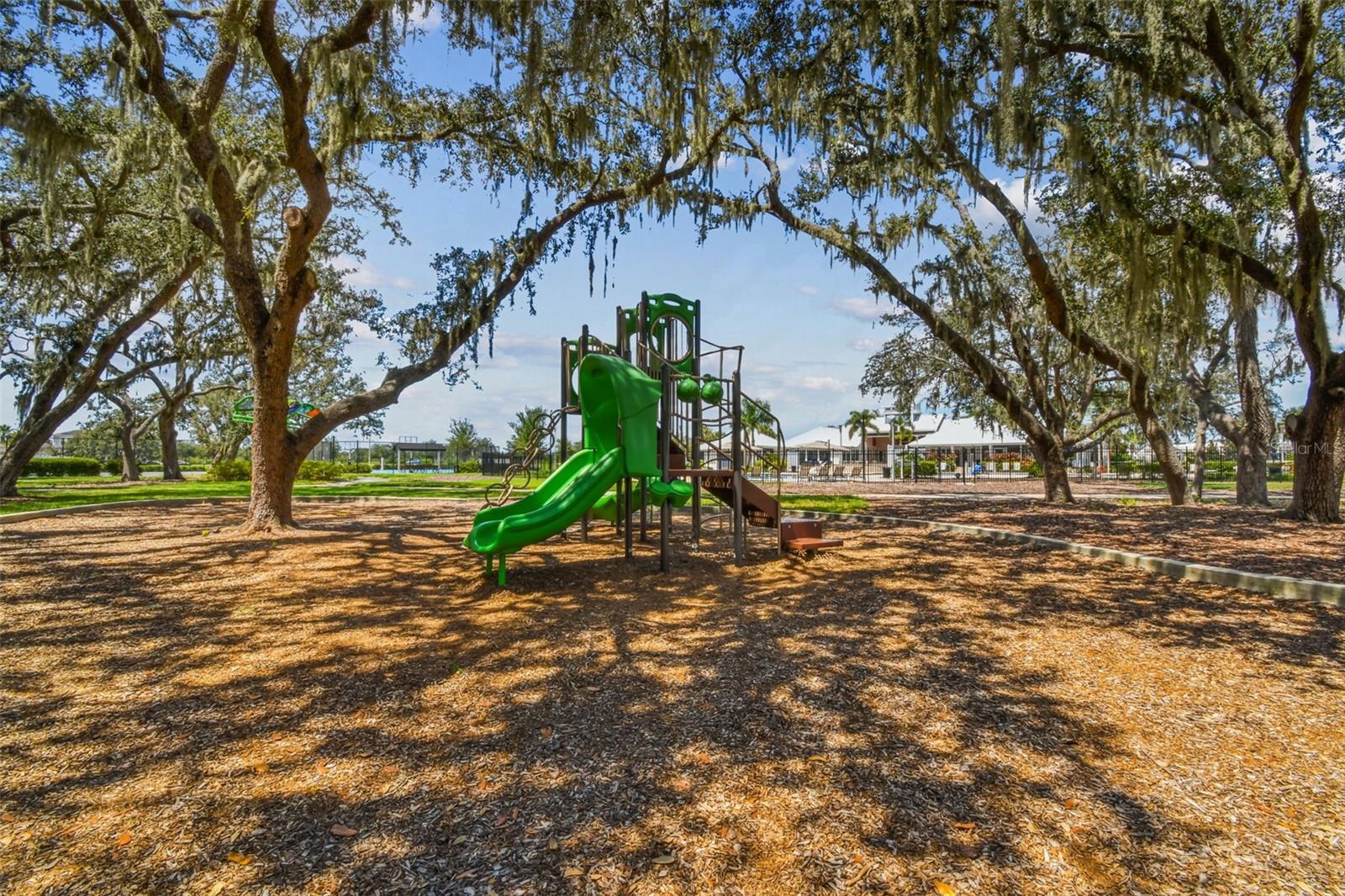 Image 58 of 79 For 12826 Satin Lily Drive