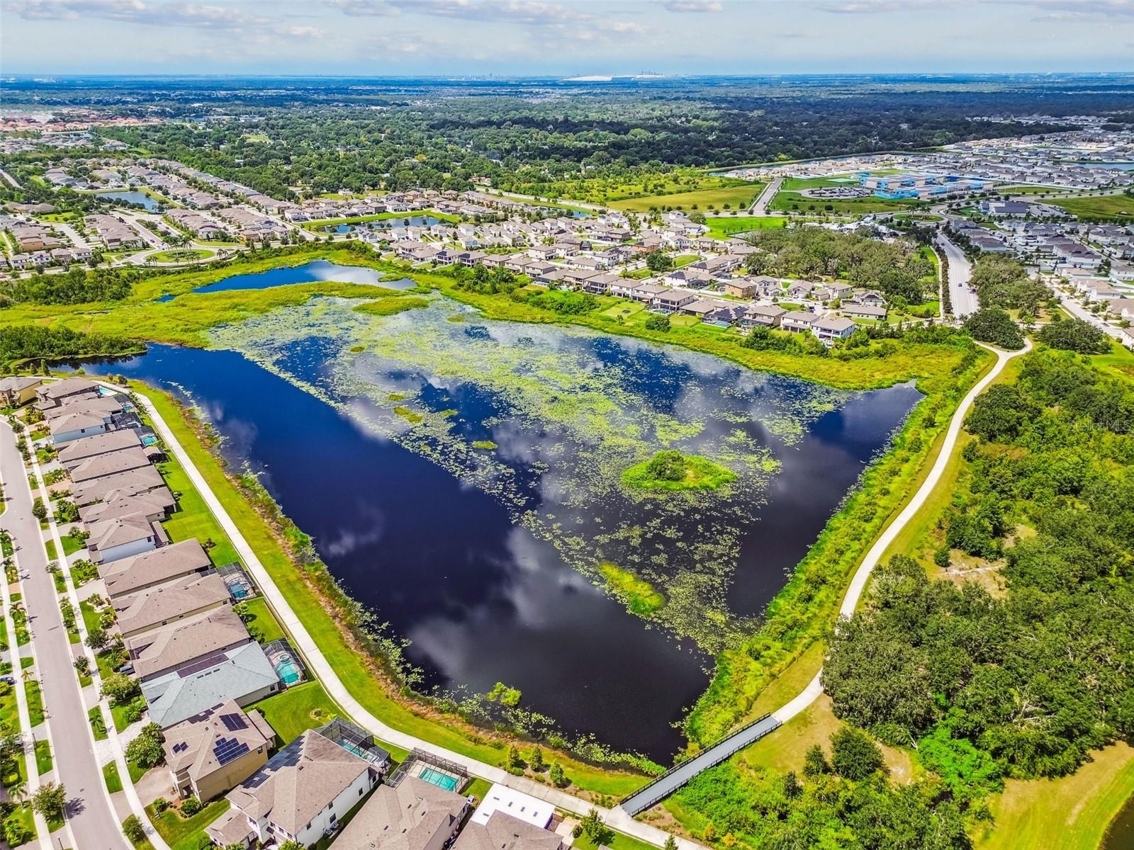 Image 71 of 79 For 12826 Satin Lily Drive