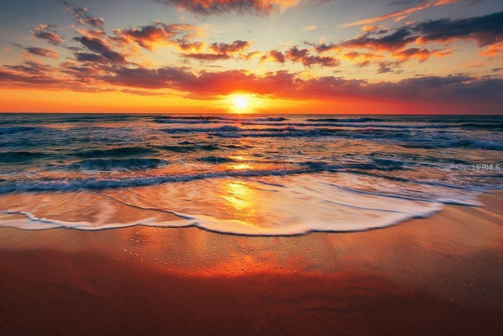 Image 74 of 74 For 653 Mcdaniel Street 178