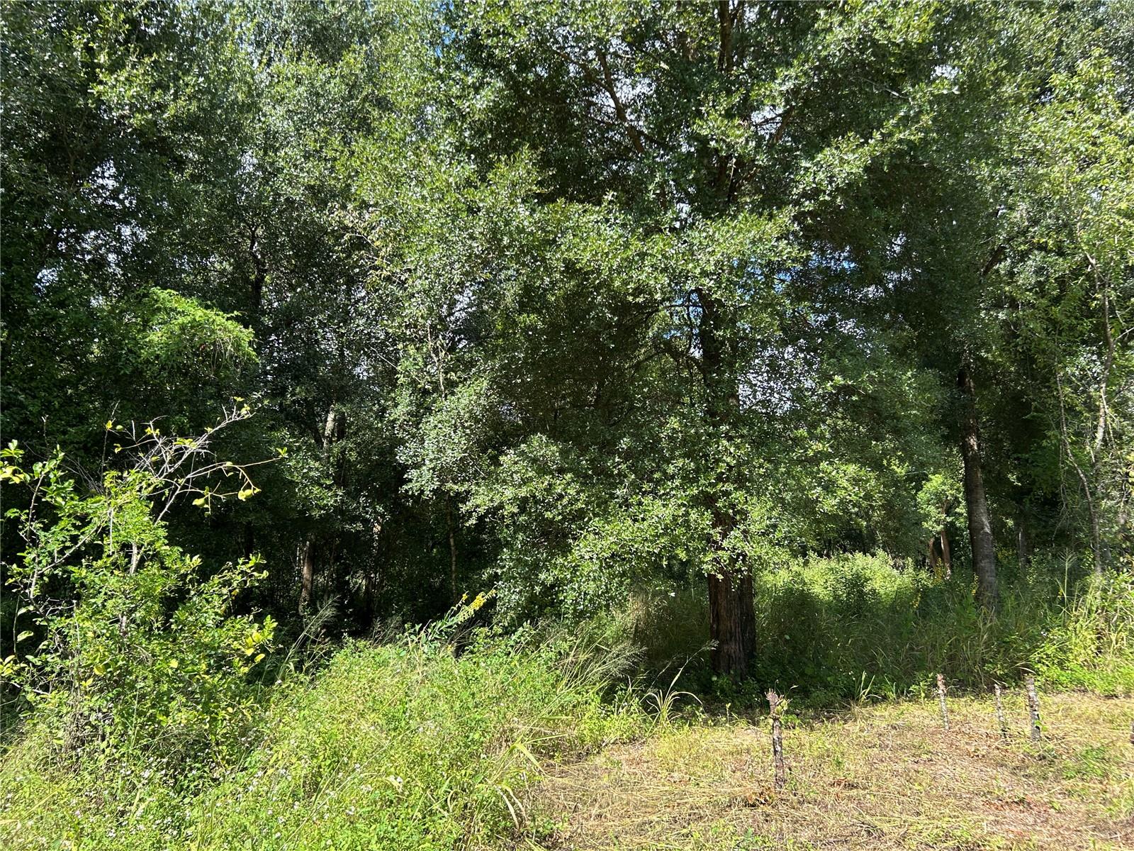 Image 10 of 11 For 38116 Hamrich Drive