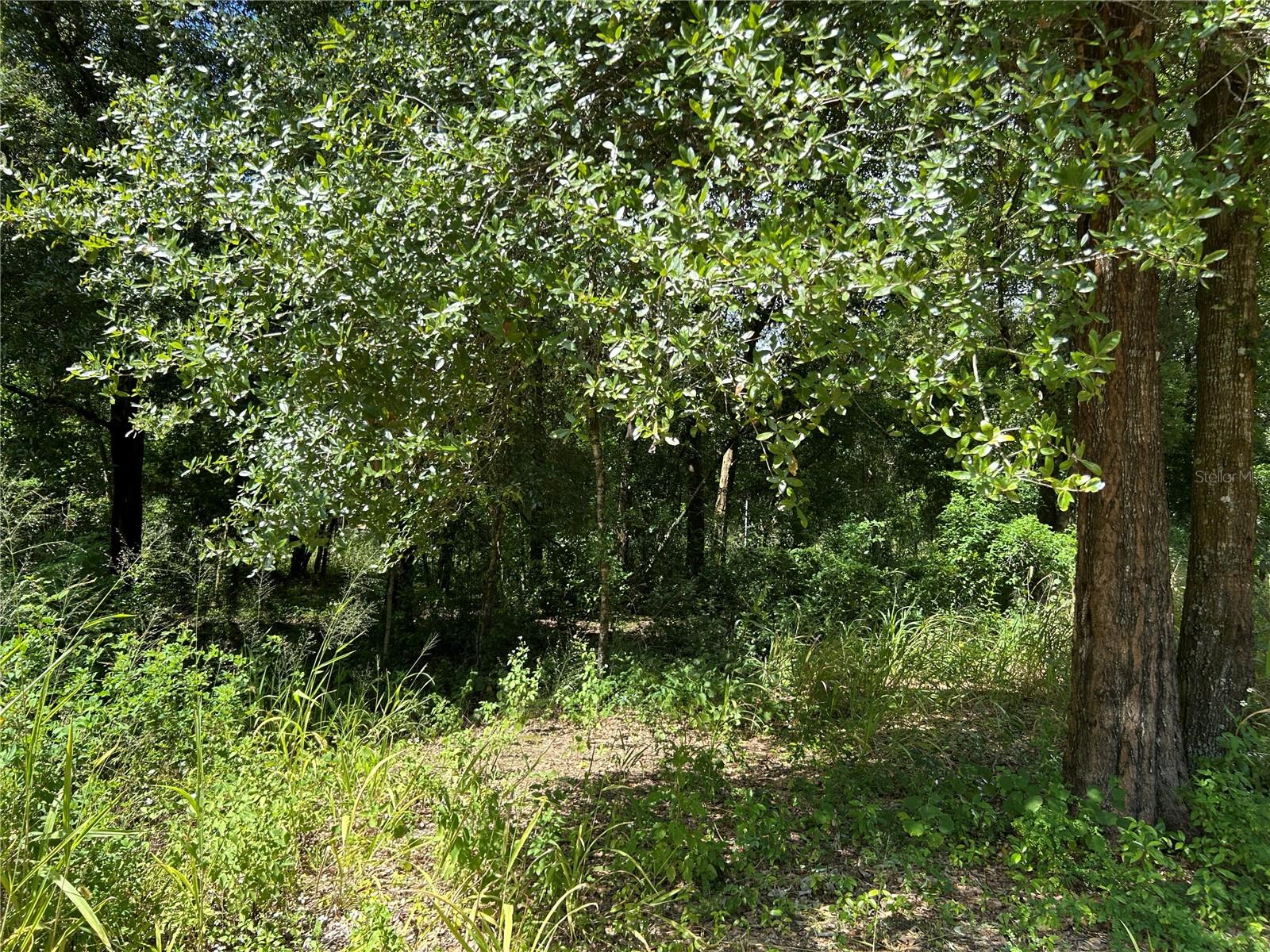 Image 11 of 11 For 38116 Hamrich Drive
