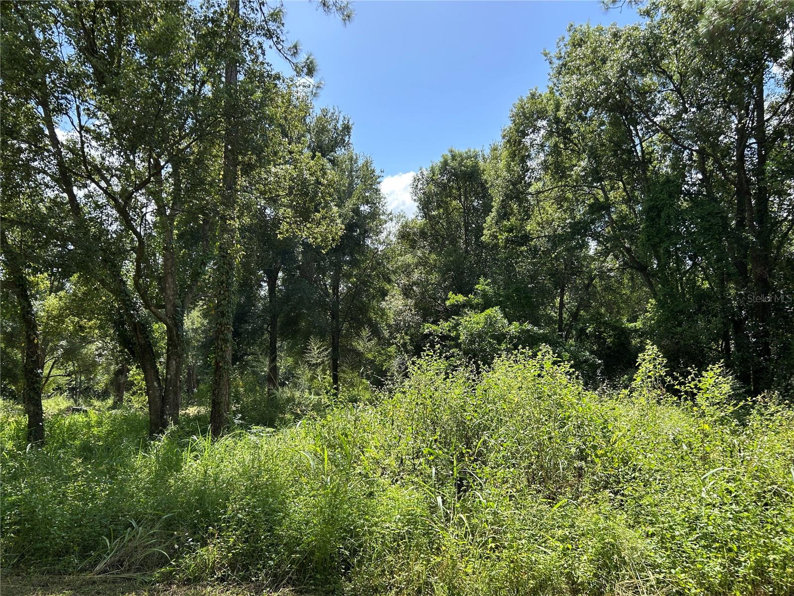 Image 2 of 11 For 38116 Hamrich Drive