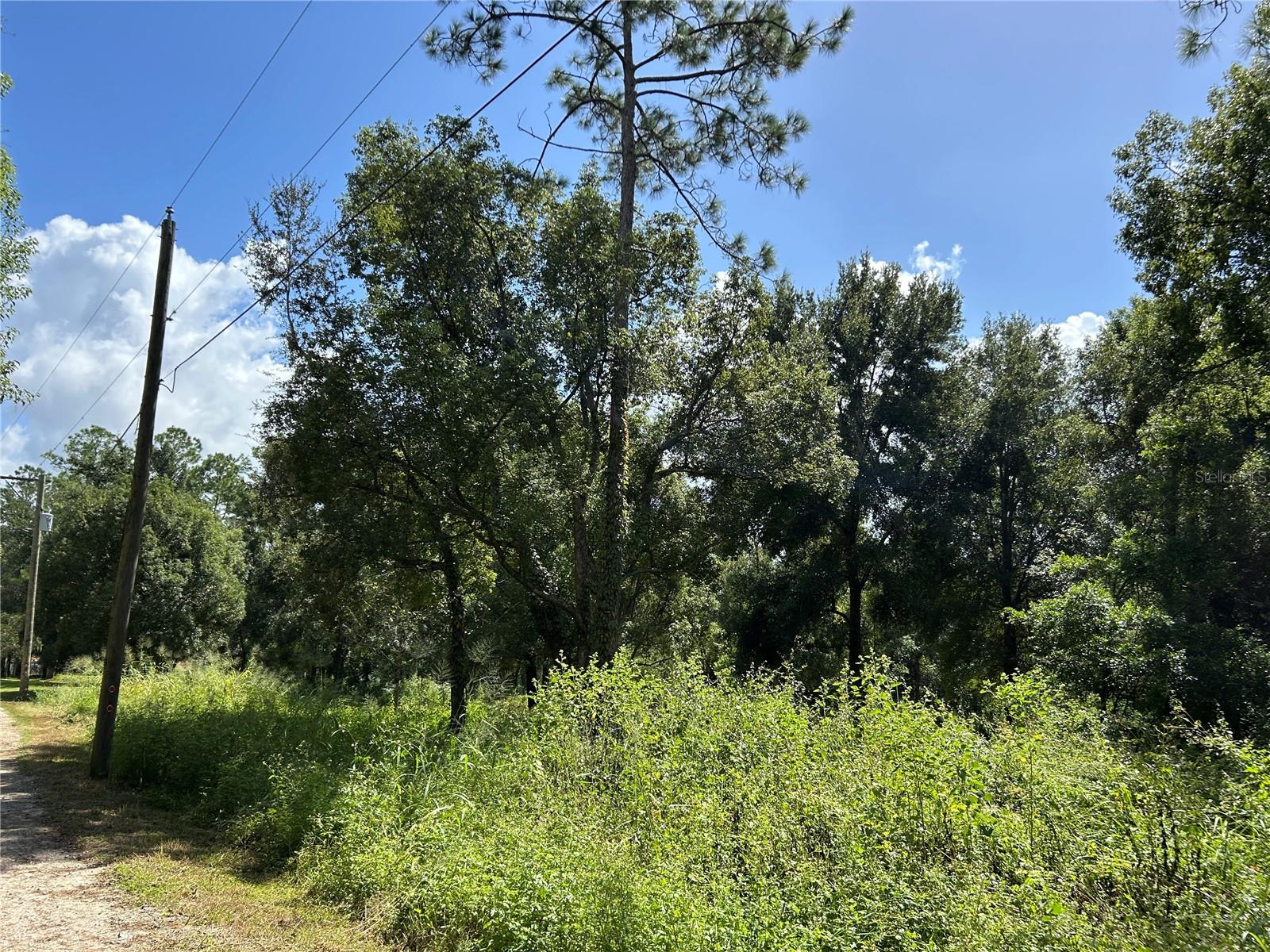Image 3 of 11 For 38116 Hamrich Drive