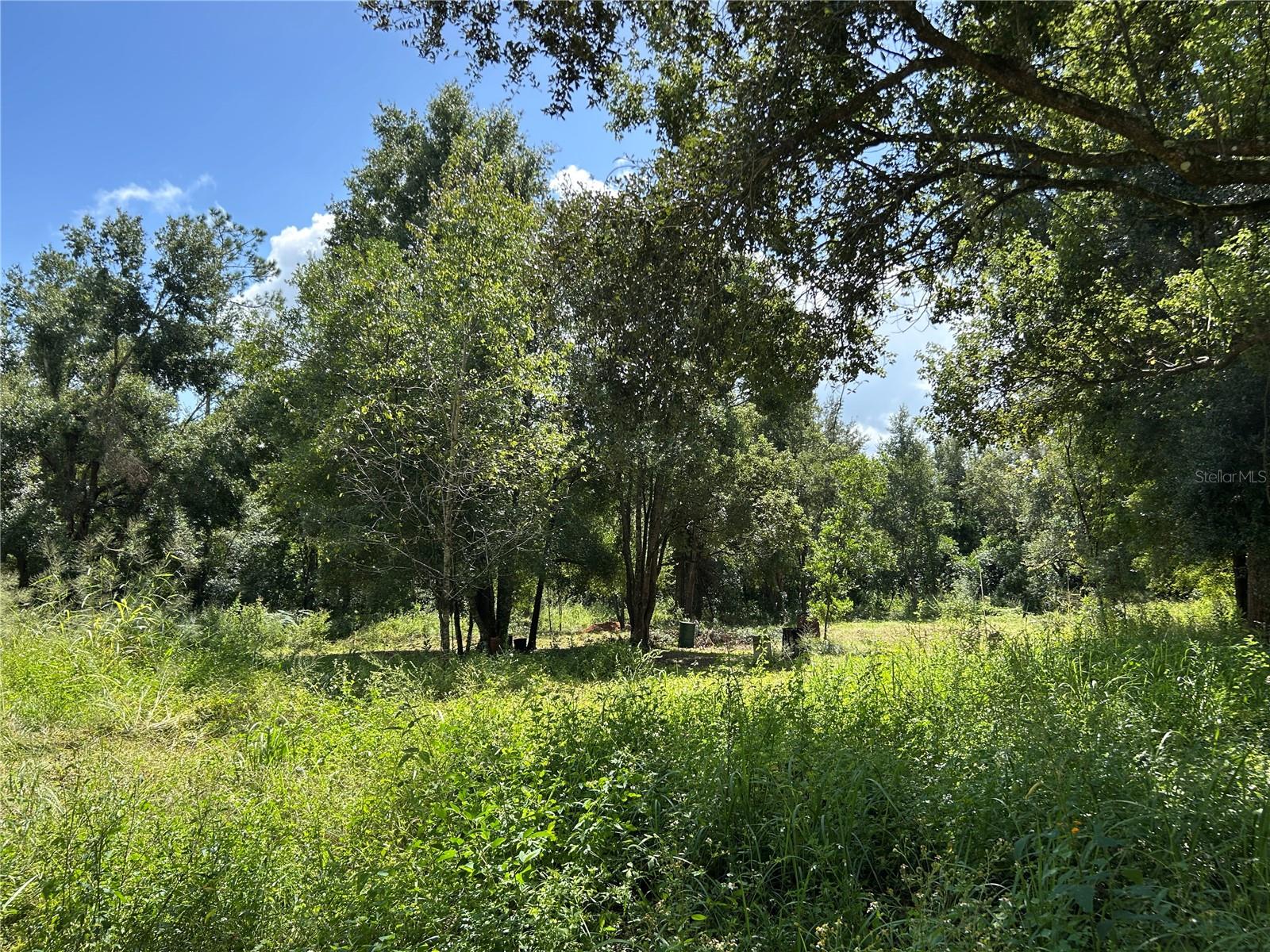 Image 4 of 11 For 38116 Hamrich Drive