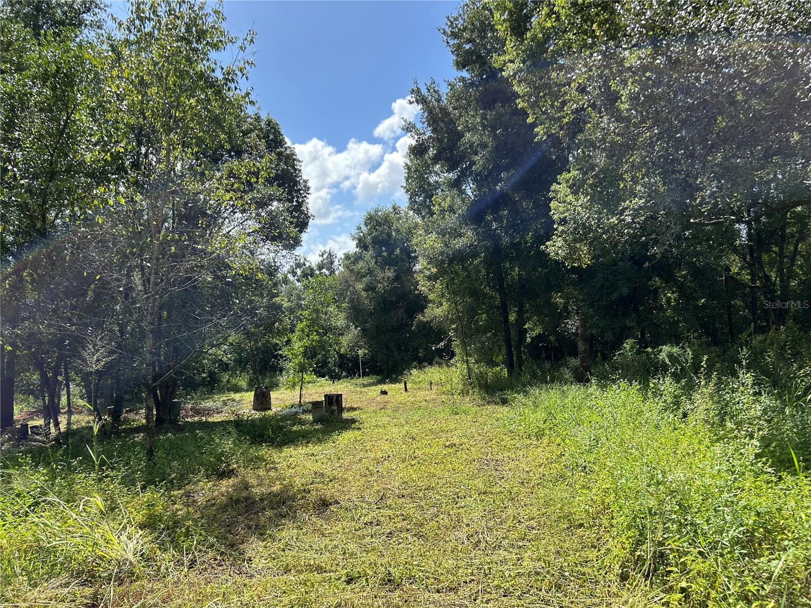 Image 5 of 11 For 38116 Hamrich Drive
