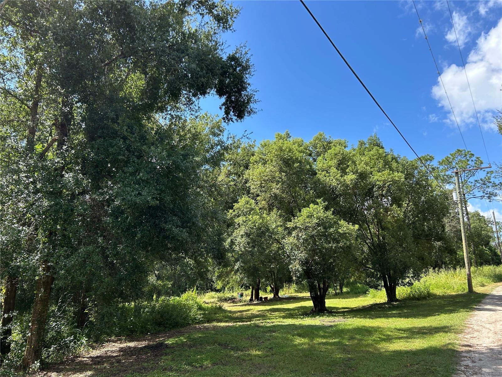Image 6 of 11 For 38116 Hamrich Drive