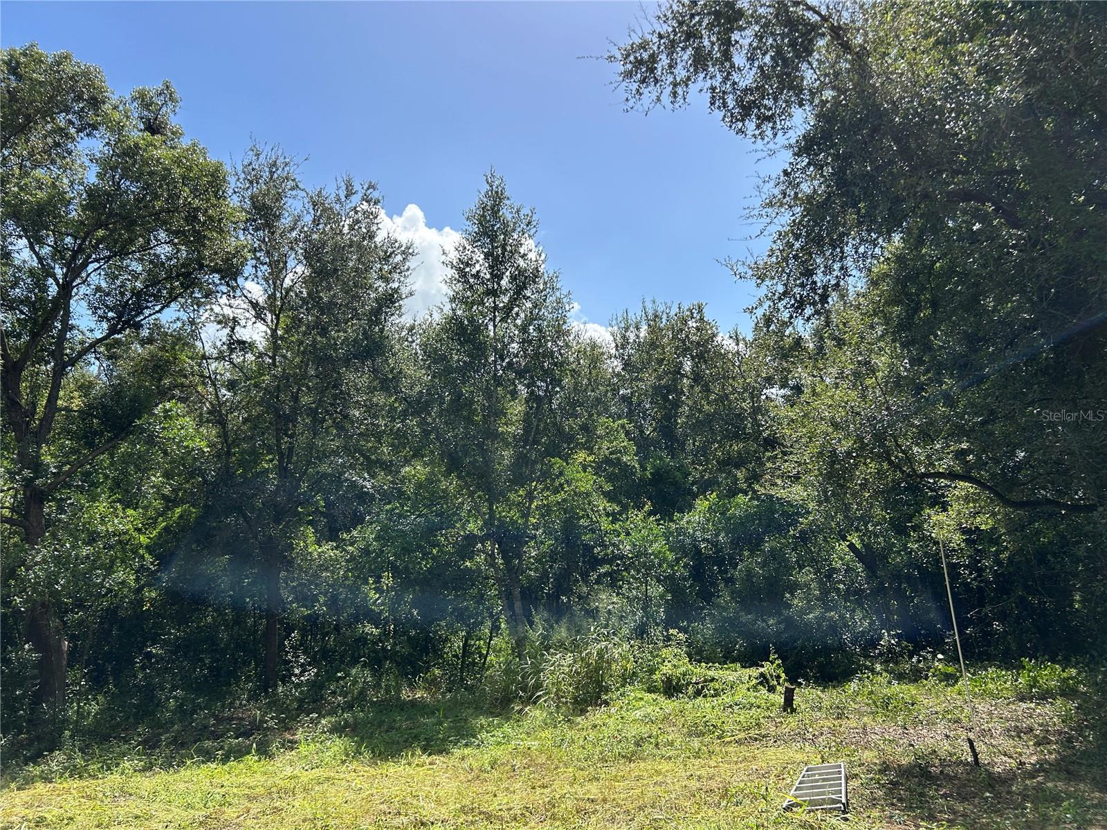 Image 8 of 11 For 38116 Hamrich Drive