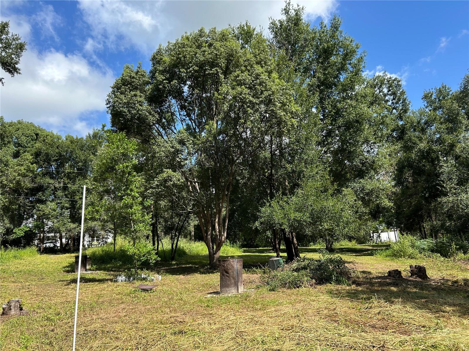 Image 9 of 11 For 38116 Hamrich Drive