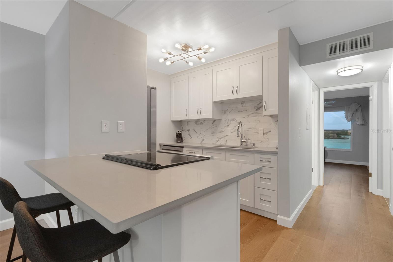 Image 28 of 51 For 12760 Indian Rocks Road 1087