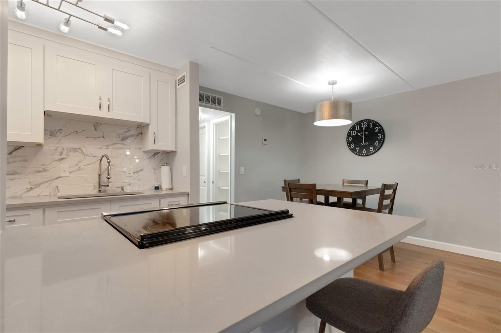 Image 29 of 51 For 12760 Indian Rocks Road 1087