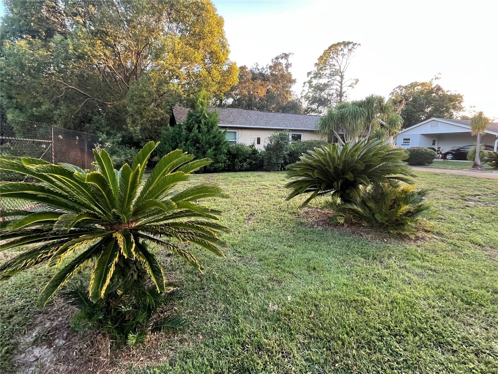 Image 3 of 25 For 309 Riviera Drive