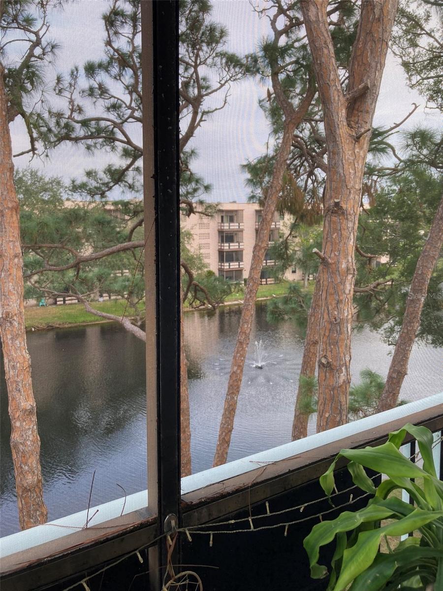 Image 10 of 36 For 5970 80th Street N 412