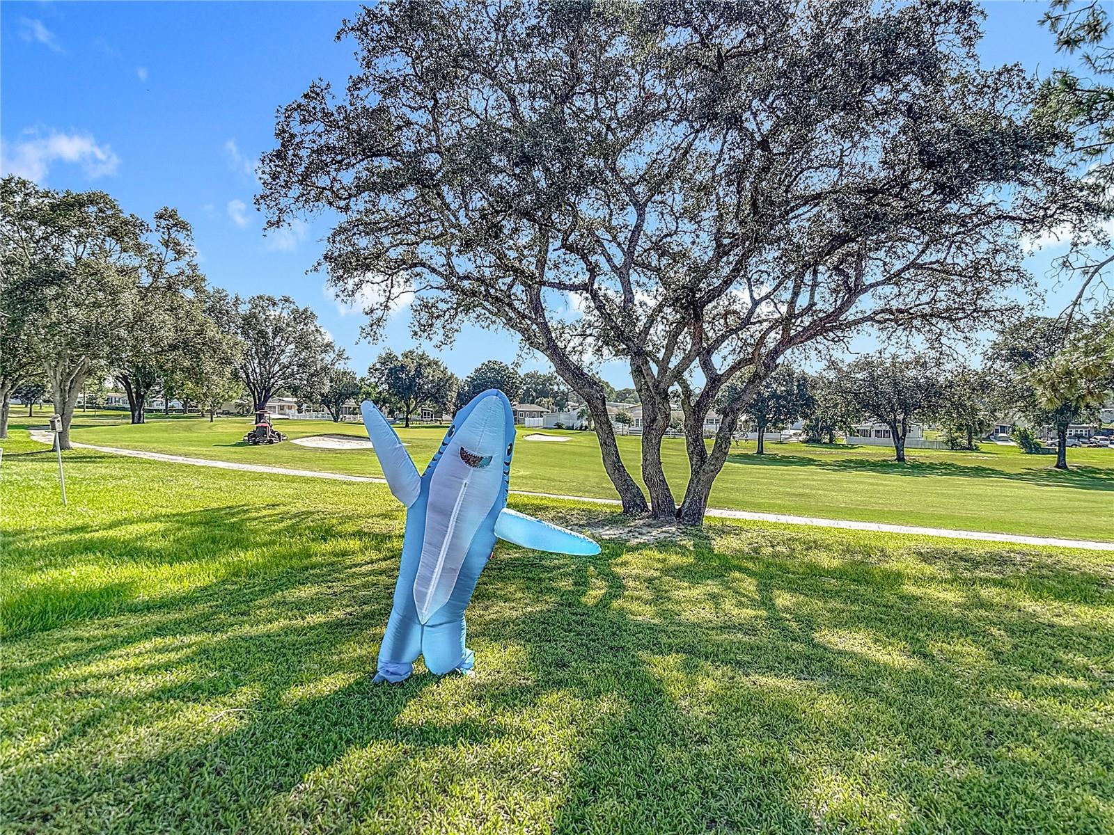 Image 19 of 23 For 14761 Rialto Avenue