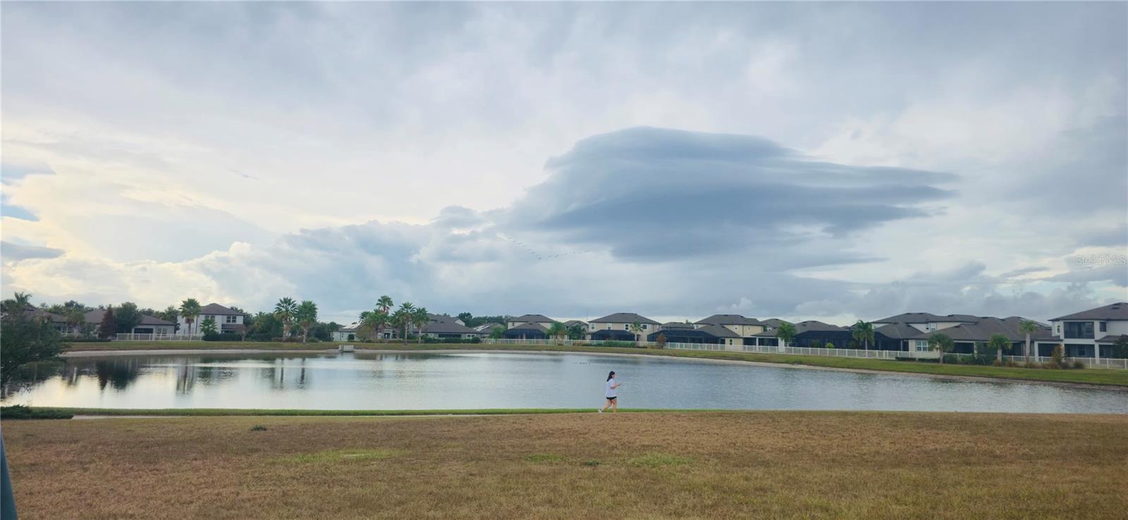 Listing photo id 47 for 10907 Green Harvest Drive