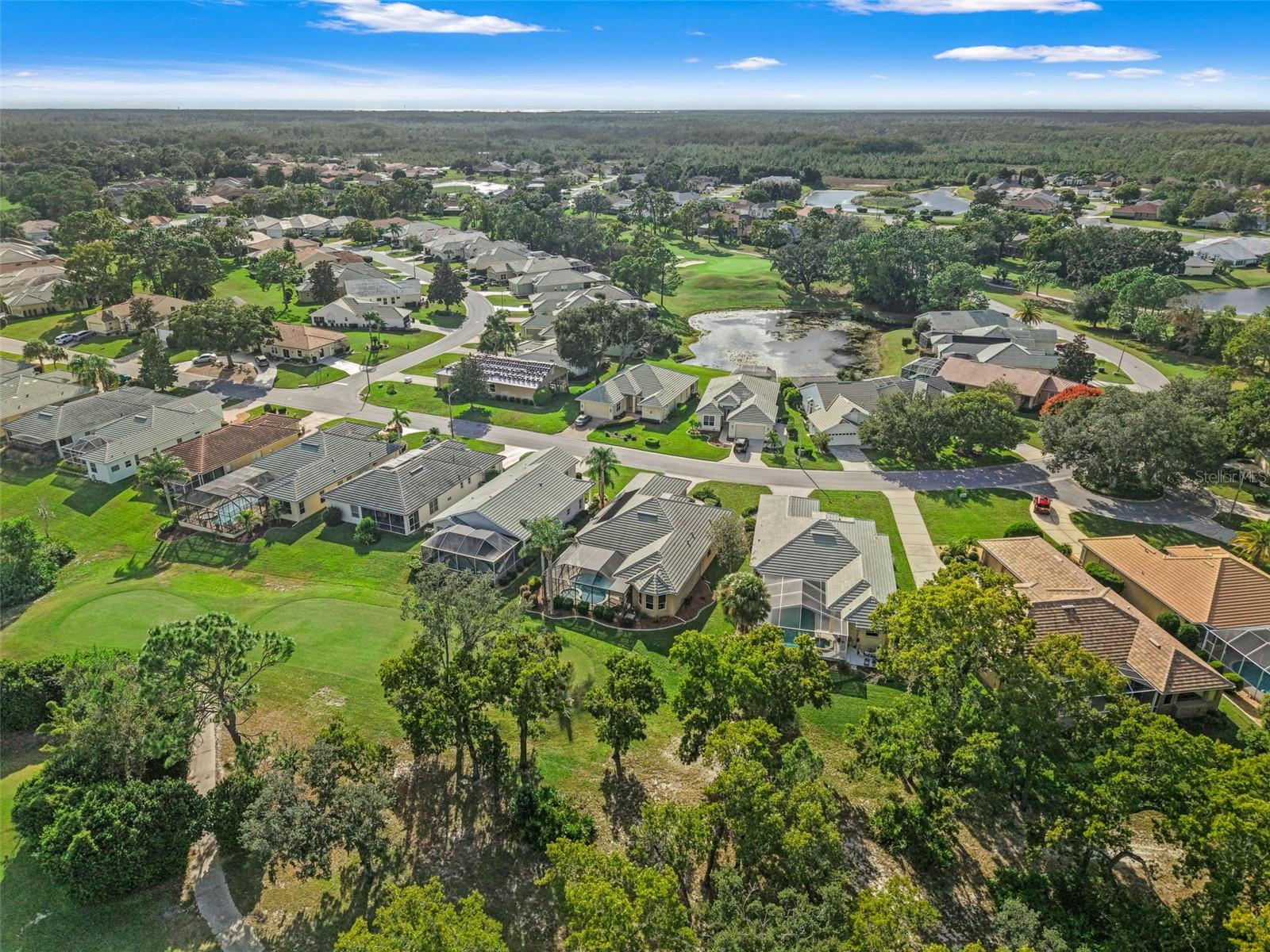 Image 41 of 50 For 9059 Penelope Drive