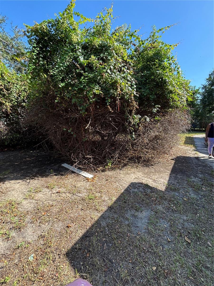 Image 7 of 20 For 5550 5th Way S
