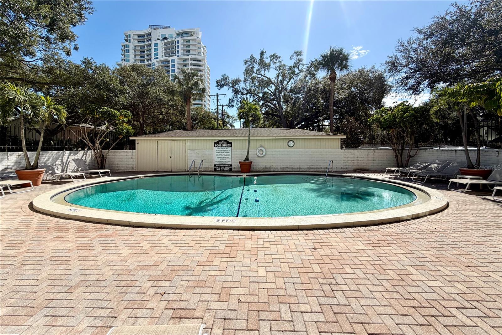 Image 16 of 20 For 3325 Bayshore Boulevard F22