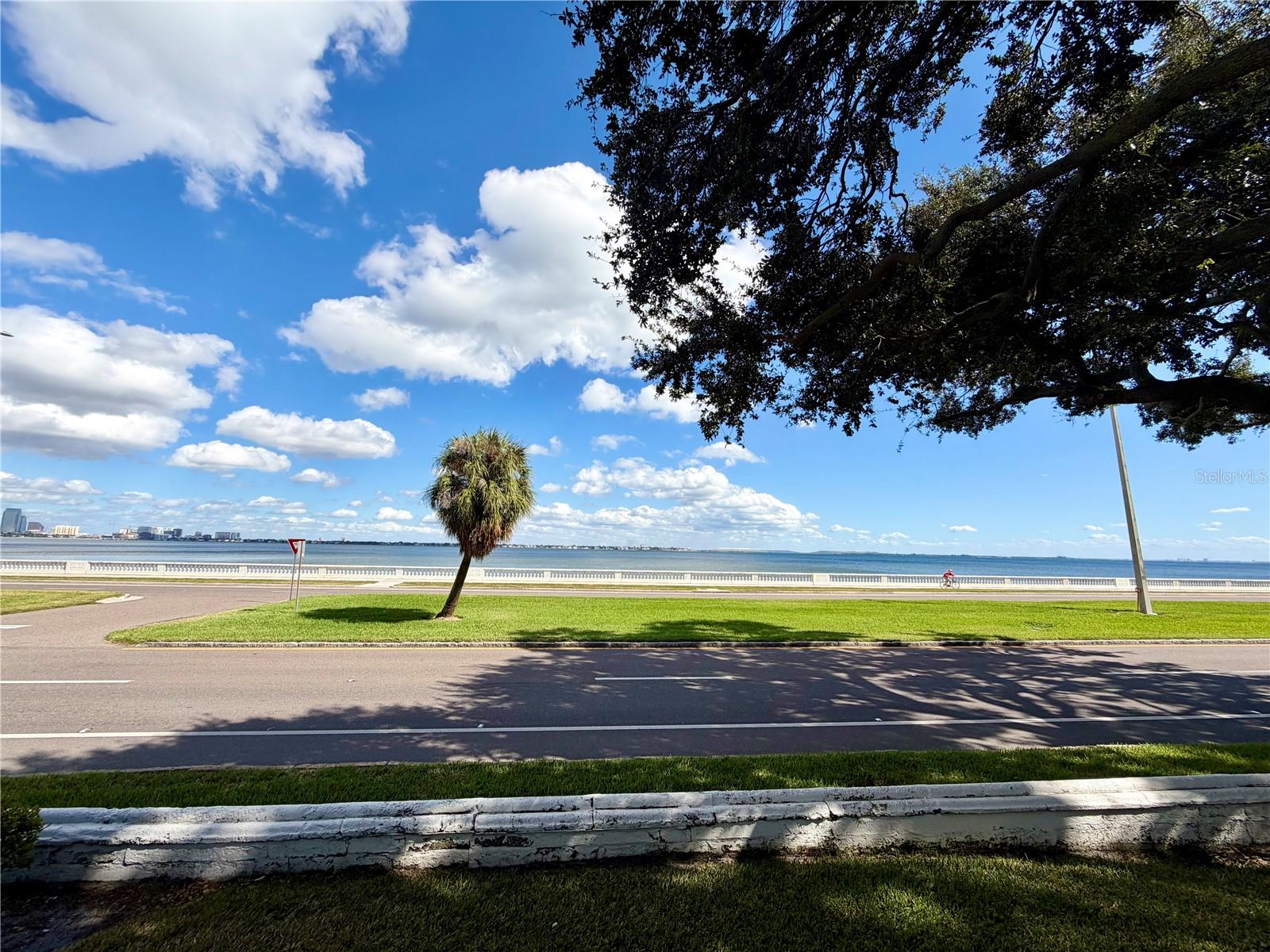 Image 18 of 20 For 3325 Bayshore Boulevard F22