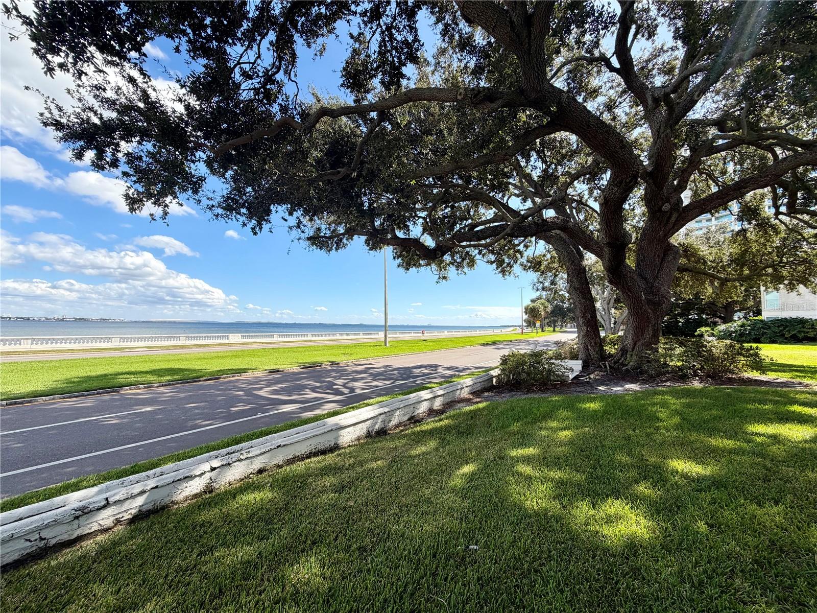 Image 19 of 20 For 3325 Bayshore Boulevard F22