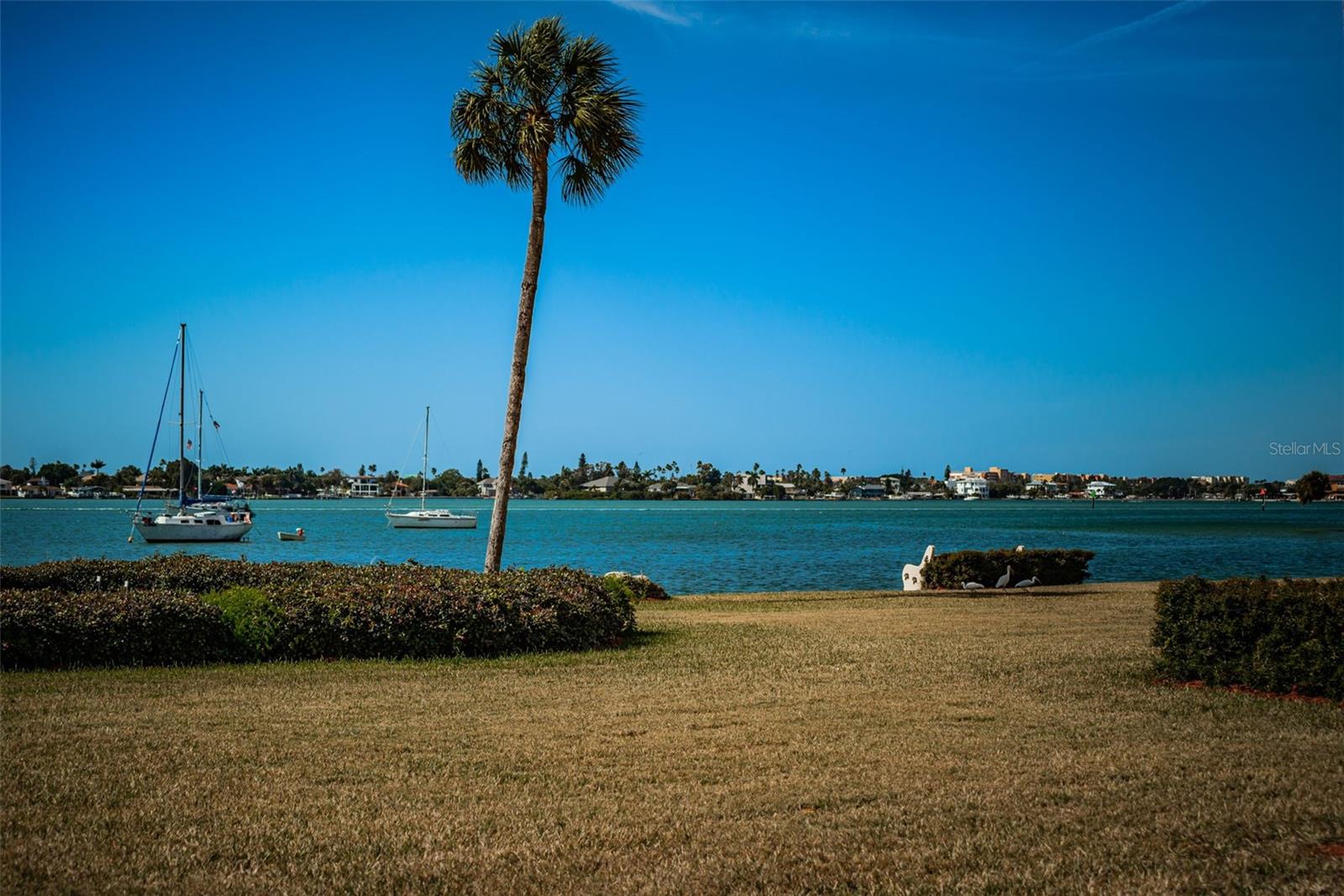 Image 27 of 51 For 4550 Cove Circle 502