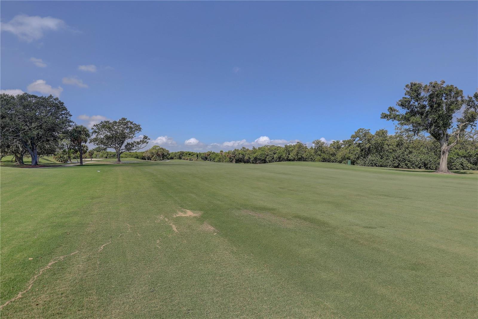 Image 35 of 35 For 2333 Feather Sound Drive A401