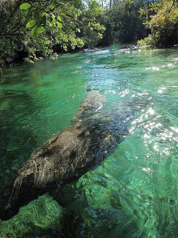 Image 61 of 93 For 5312 Circle Drive