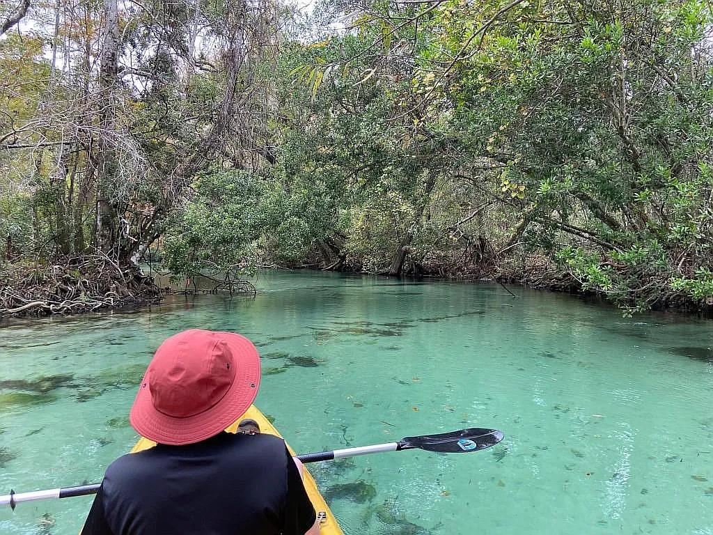 Image 62 of 93 For 5312 Circle Drive