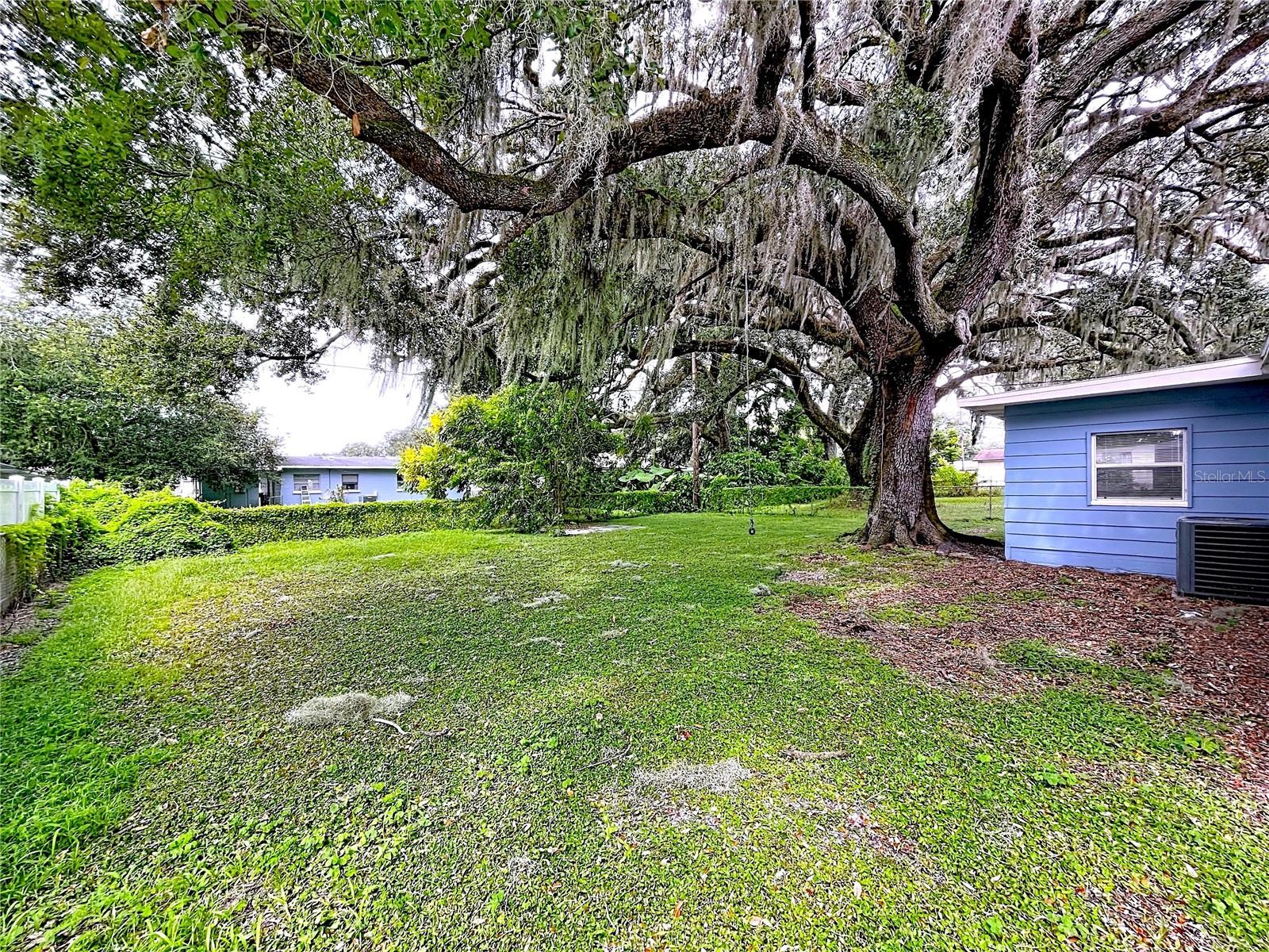 Image 50 of 62 For 1240 Woodland Avenue