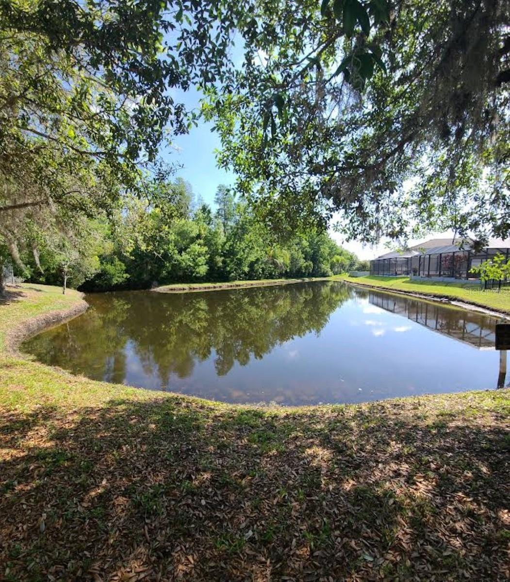 Image 45 of 50 For 1052 Ketzal Drive