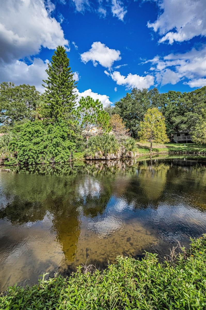 Image 46 of 99 For 1206 Pointe Alexis Drive