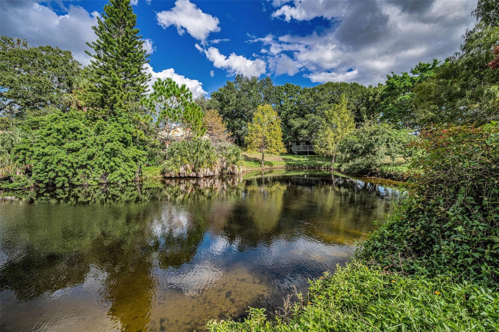 Image 47 of 99 For 1206 Pointe Alexis Drive